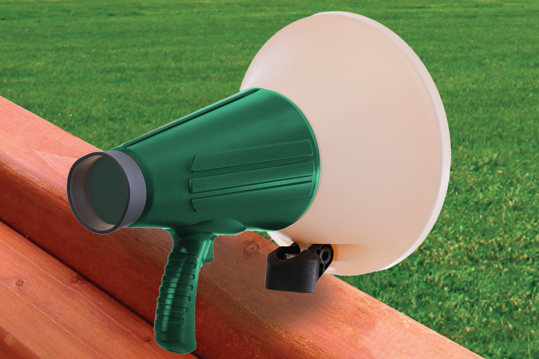 Megaphone